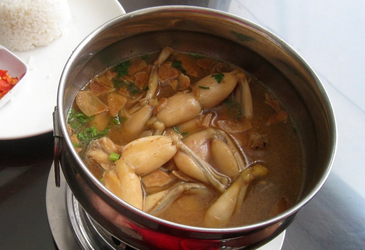 Zuppa di rana
